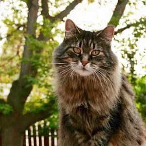 Meet your Posher, Melody